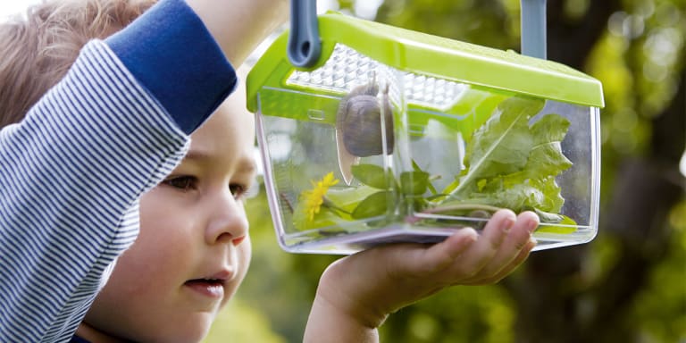 Entdecker Sets für Kinder: Insekten mit Kindern entdecken