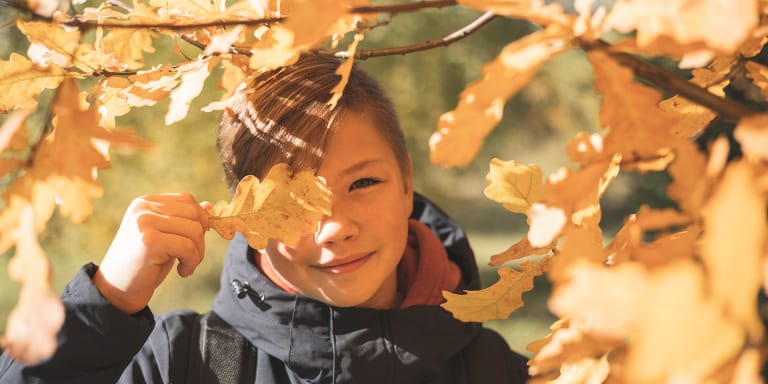 Basteln mit Eicheln: Kreative Ideen und Anleitungen für Kinder