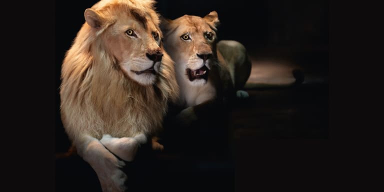 The Lions' Den