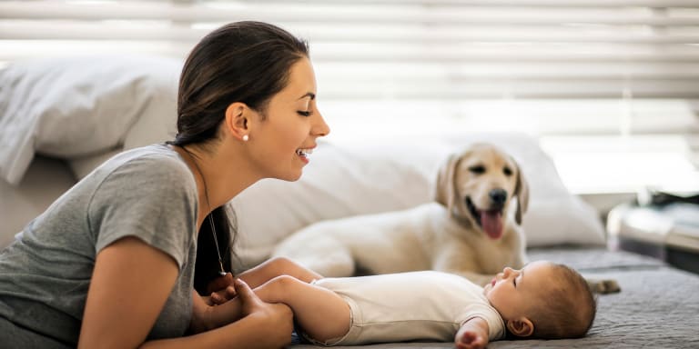 Freunde von Geburt an: Wie gewöhne ich Hund und Baby aneinander?