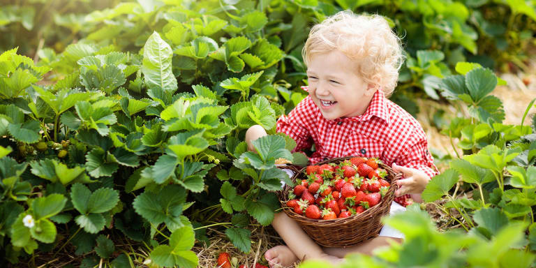 Gemeinsam mit Kindern Garten &amp; Natur entdecken