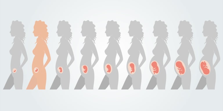 Die 8. Schwangerschaftswoche: Infos zur Entwicklung des Babys &amp; Schwangerschaftssymptomen