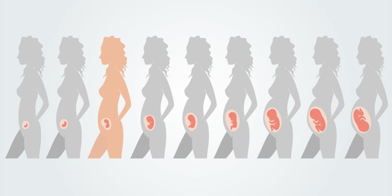 10. Schwangerschaftswoche: Infos zur Entwicklung des Fötus, Ultraschalluntersuchung &amp; Veränderungen der Mutter
