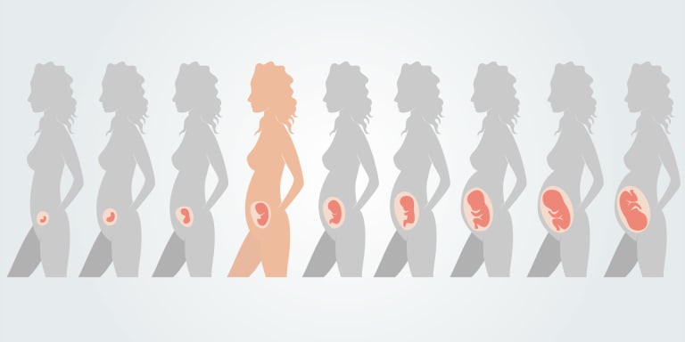 vibration im bauch schwangerschaft Schwanger: Was passiert in SSW 16 » HABA