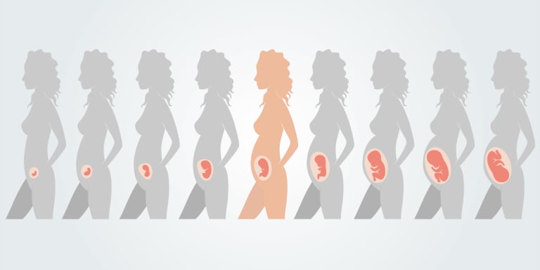 20. Schwangerschaftswoche: Entwicklung des Fötus, körperliche Veränderungen der Mutter &amp; Tipps zur Vorbereitung