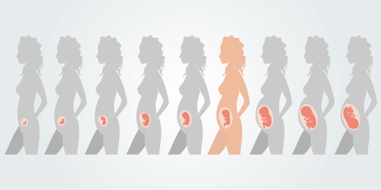 23. Schwangerschaftswoche: Entwicklung des Fötus, körperliche Veränderungen der Mutter &amp; Tipps zur Geburtsvorbereitung