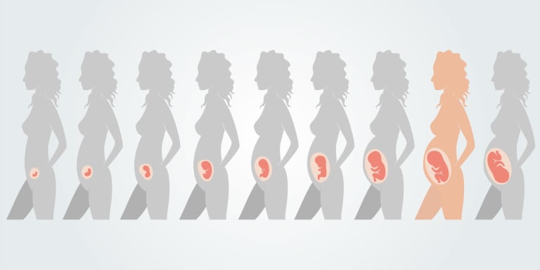 31. Schwangerschaftswoche: Entwicklung des Kindes, körperliche Veränderungen der Mutter &amp; wichtige Termine