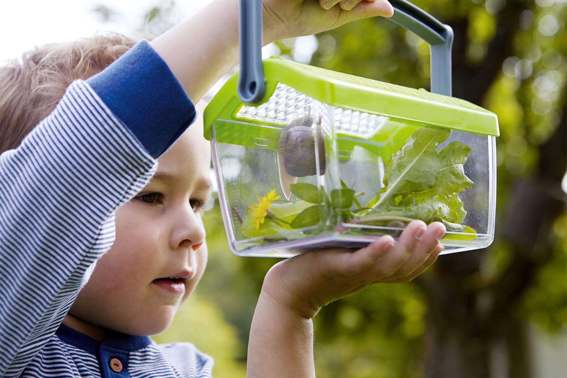 Terra Kids Entdecker | Header Image