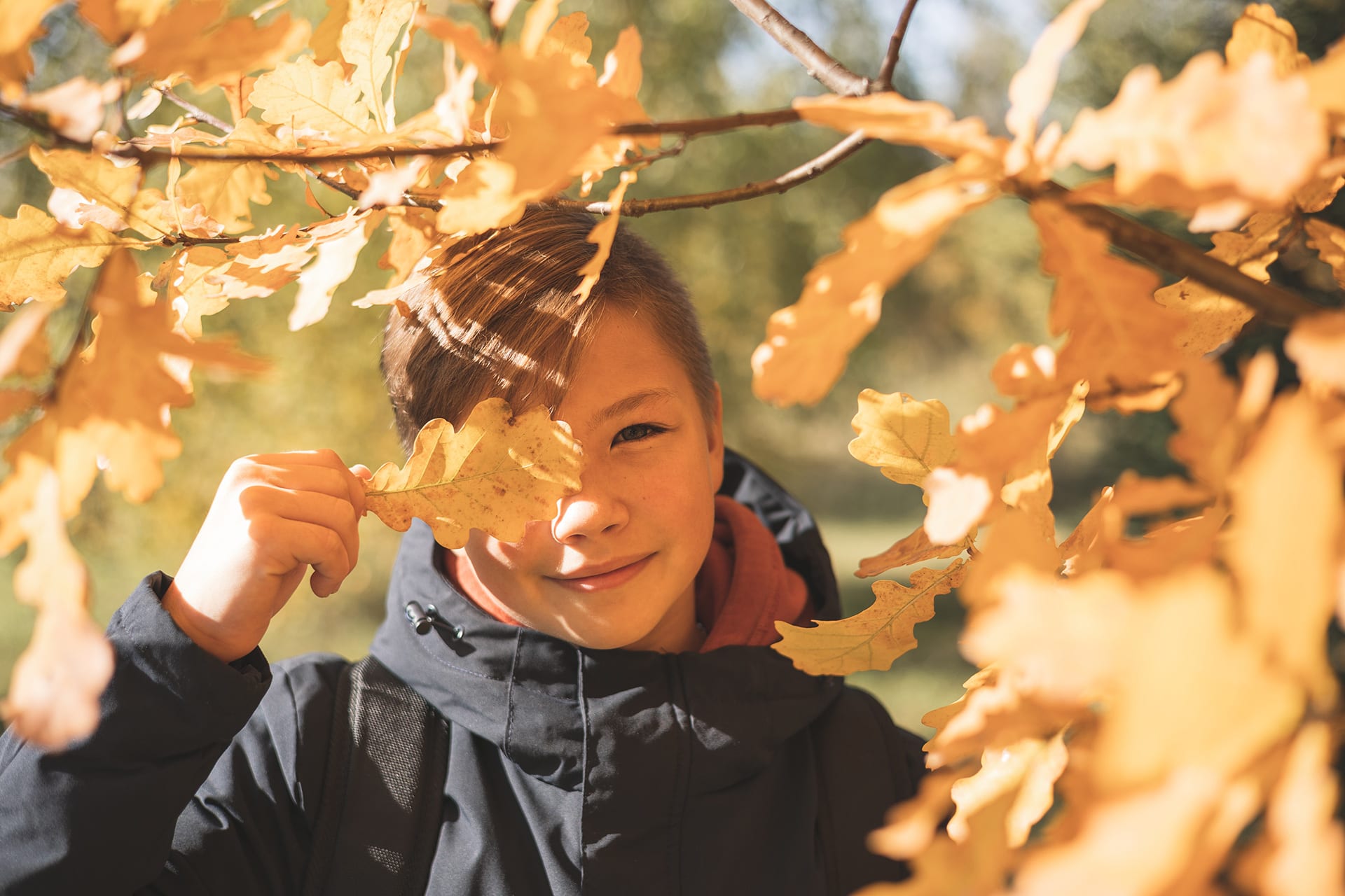 Basteln mit Eicheln | Header-Image