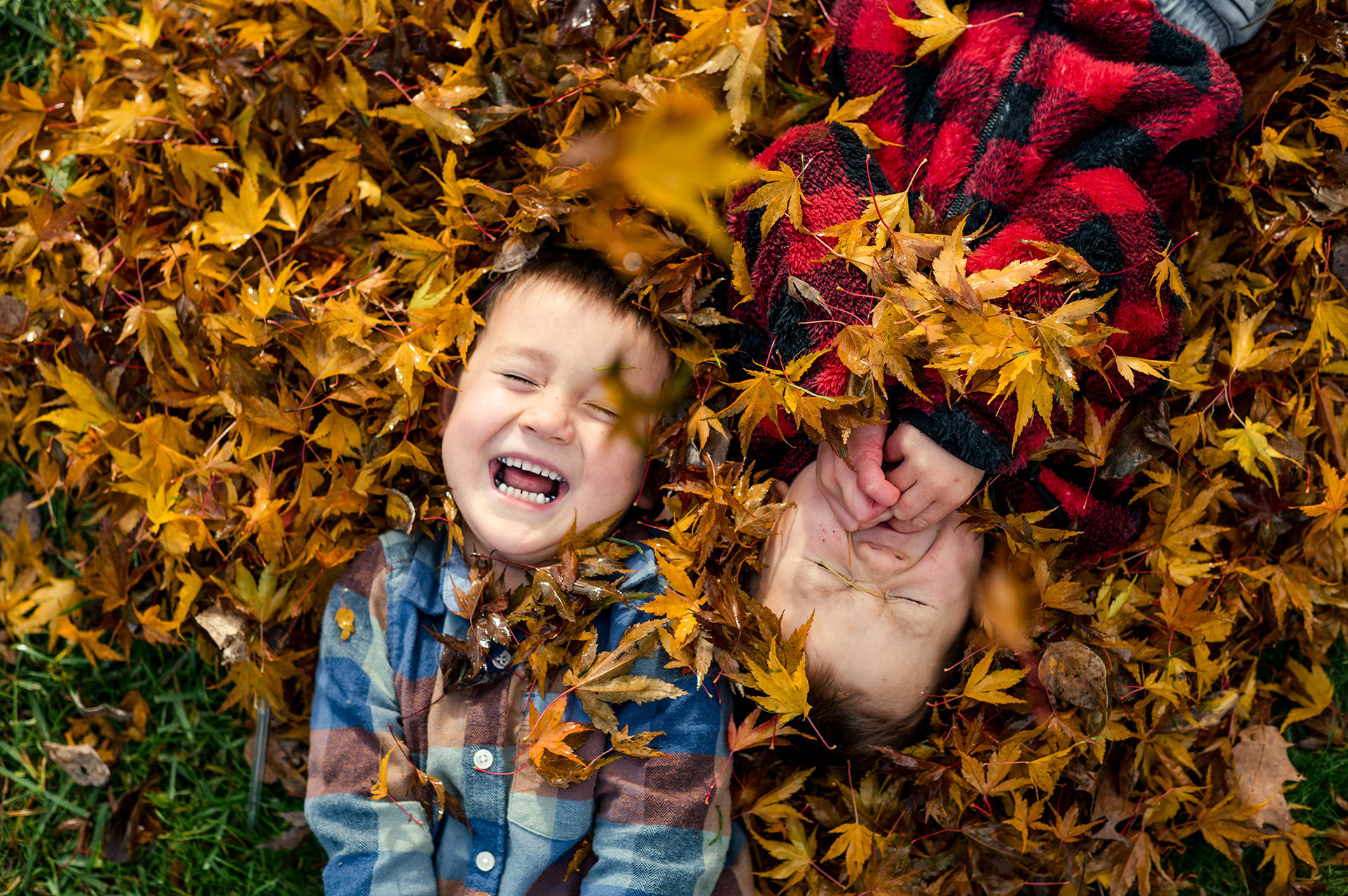 Waldspiele für Kinder | Header-Image