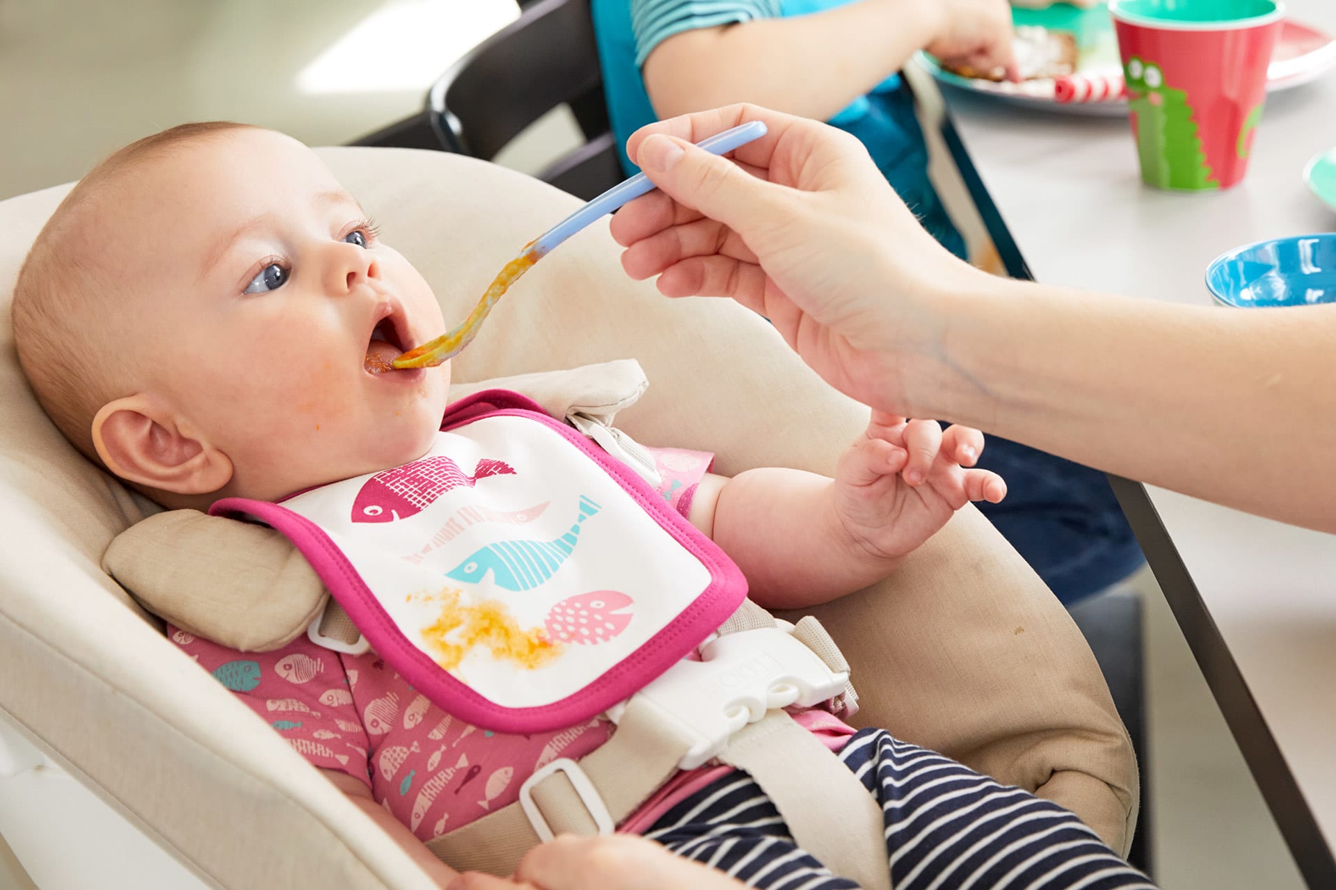  Babynahrung selber kochen | Header Image