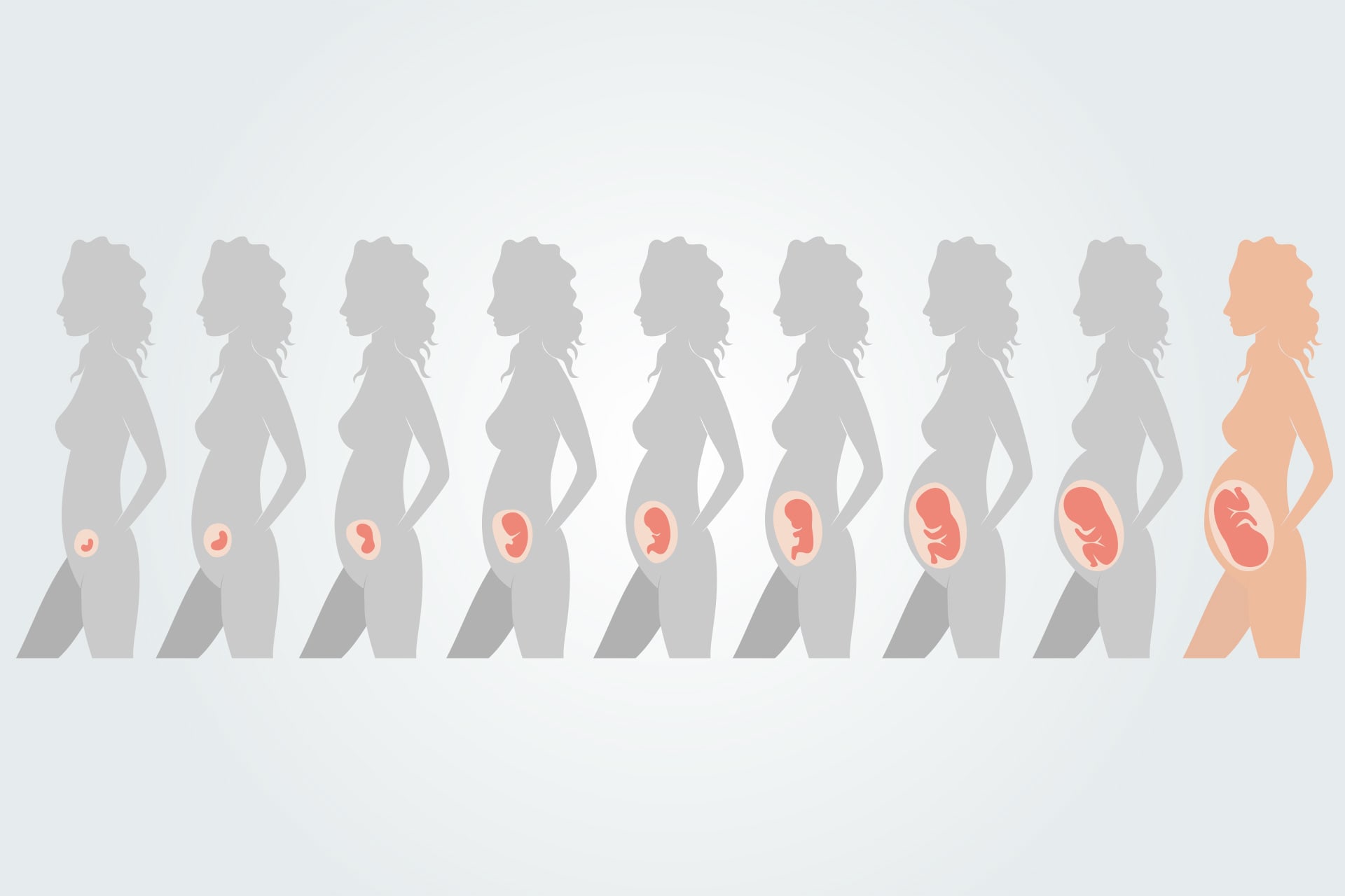 Schwangerschaft Was muss ich wissen? » HABA