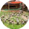 Waldkindergarten