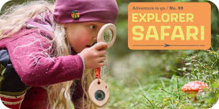 S | Sortiment entdecken | Terra Kids | Explorer Safari