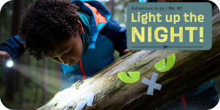 S | Sortiment entdecken | Terra Kids | Light up the night