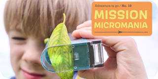 S | Sortiment entdecken | Terra Kids | Mission micromania