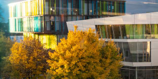 HABA weltweit | Header Image