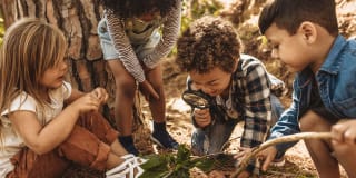 Waldspaziergang mit Kindern | Header-Bild