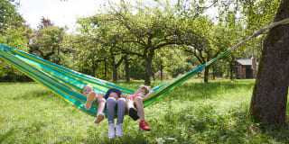 Kinder in der Natur | Header Bild