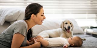 Hund und Baby | Header Image