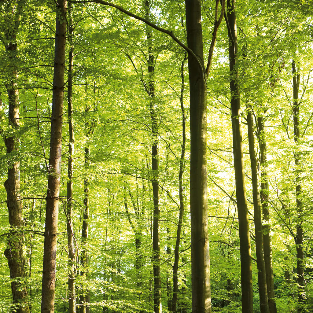 Umwelt & Energiemanagement | Umweltschonende Produktion