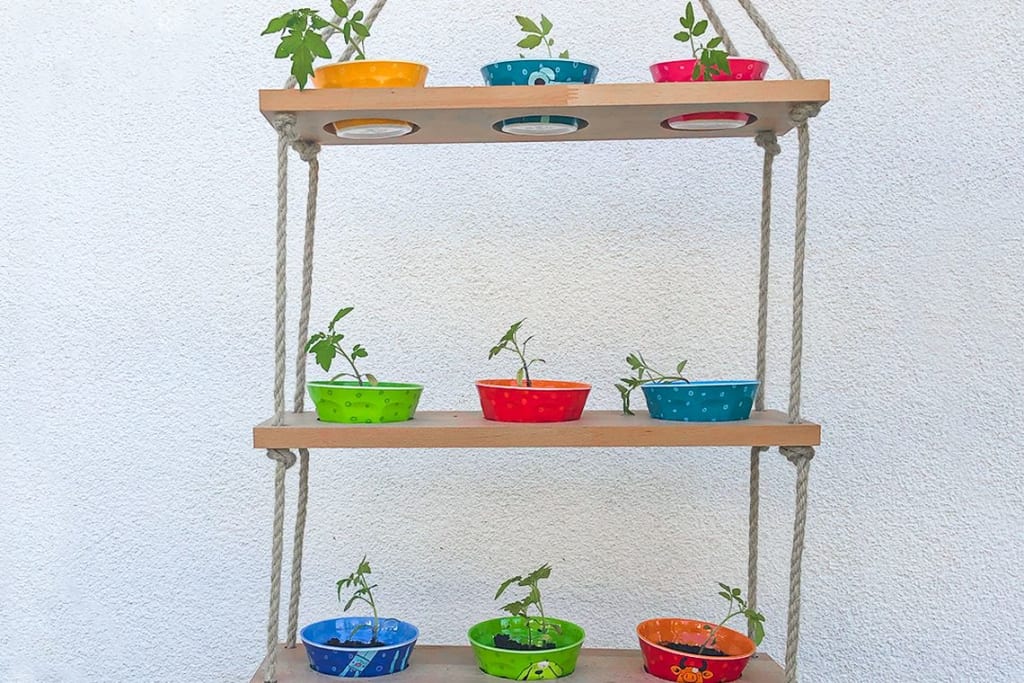 Gärtnern mit Kindern | Tomatenregal