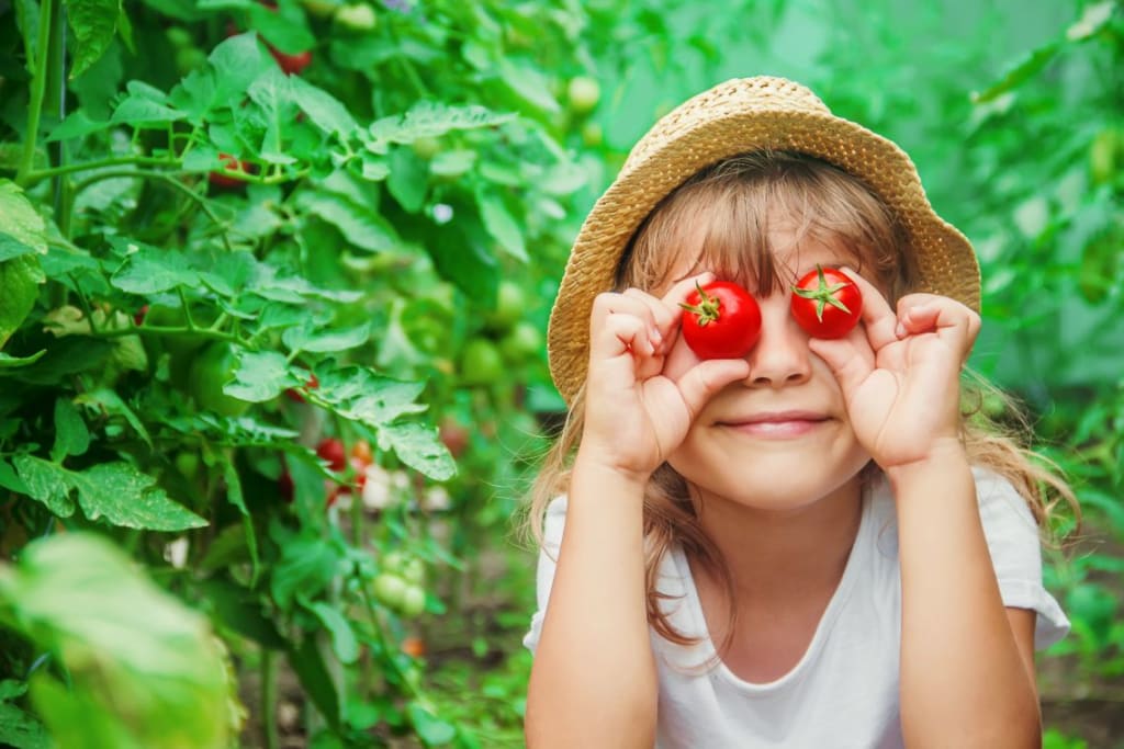 Gärntern mit Kindern | Tomaten
