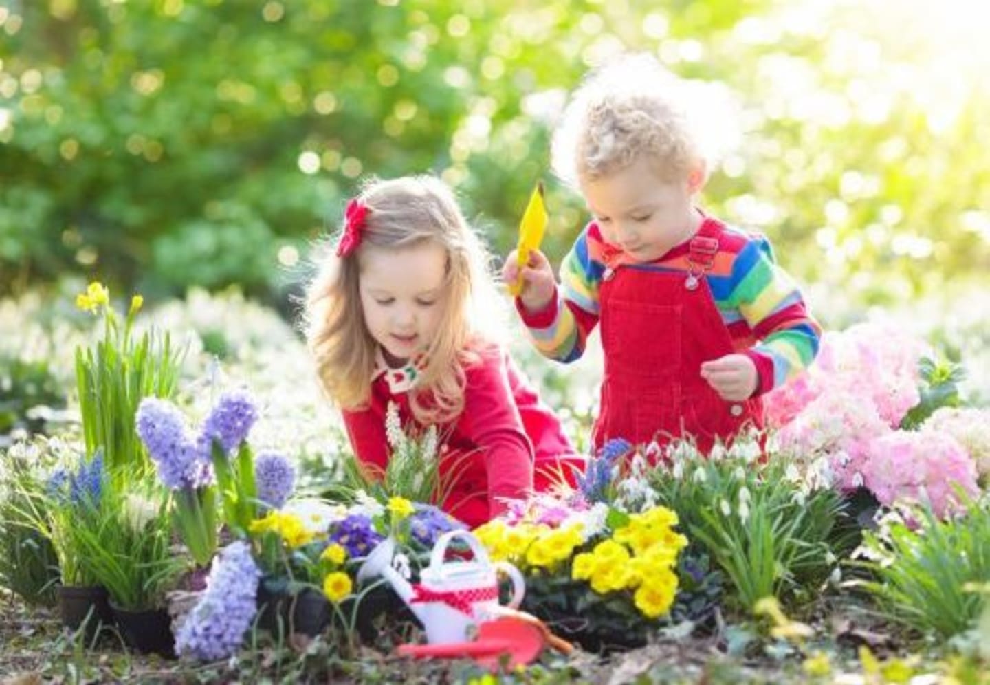 Gärtnern mit Kindern | Kinder pflanzen und gießen Blumen im Frühlingsgarten