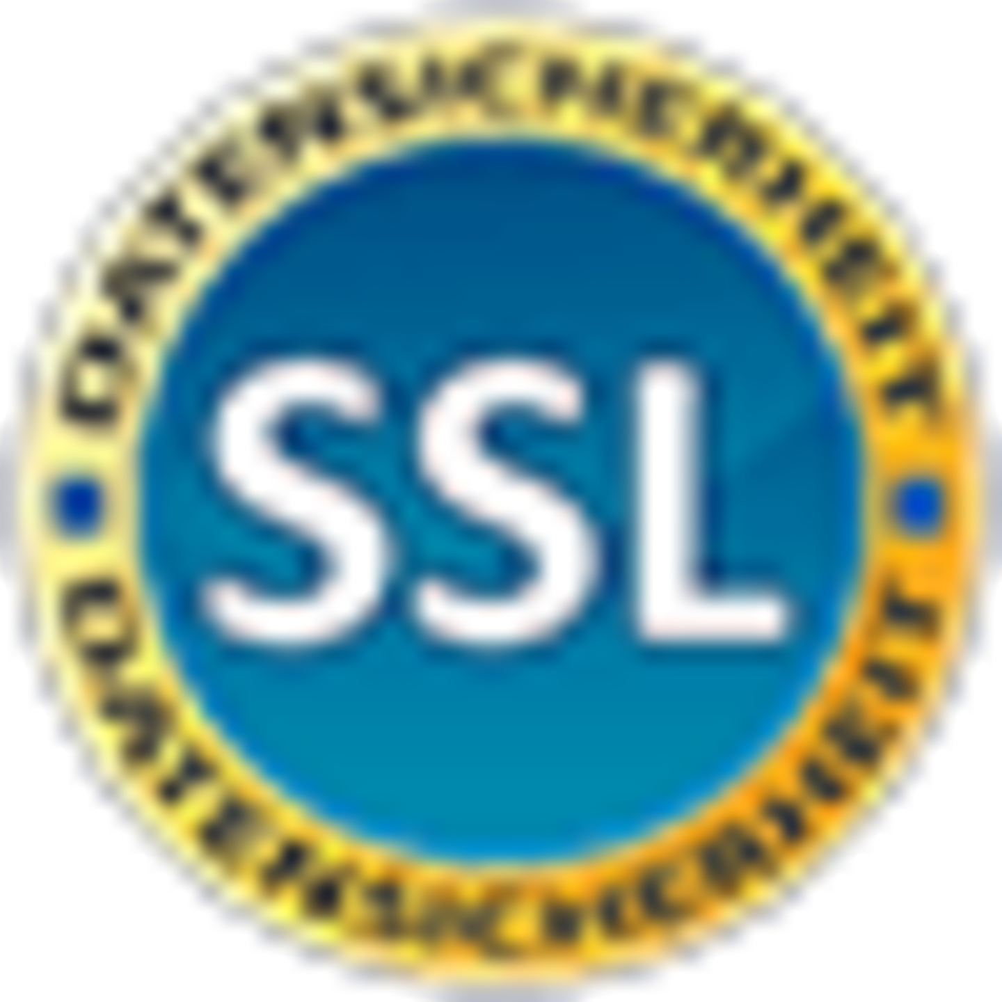 Icon Footer SSL