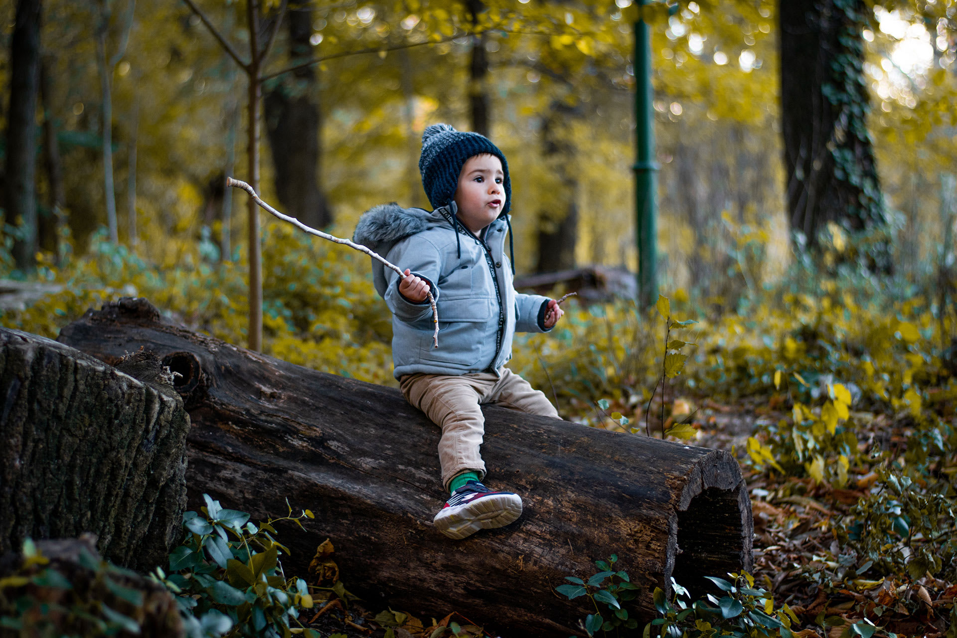  Herbstaktivitäten mit Kindern | Kleinkind sitzt auf Baumstamm