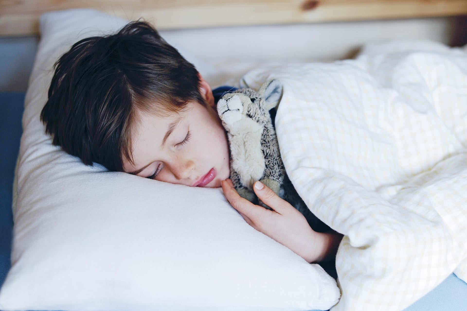 Schlafstörungen bei Kindern | Junge schläft mit Kuscheltier im Bett