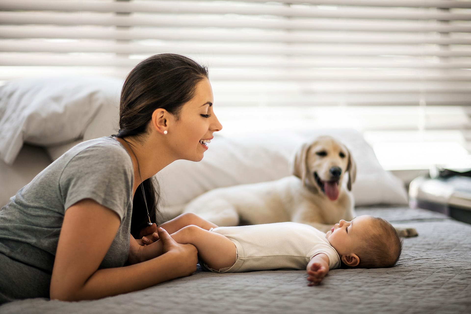 Hund und Baby | Header Image