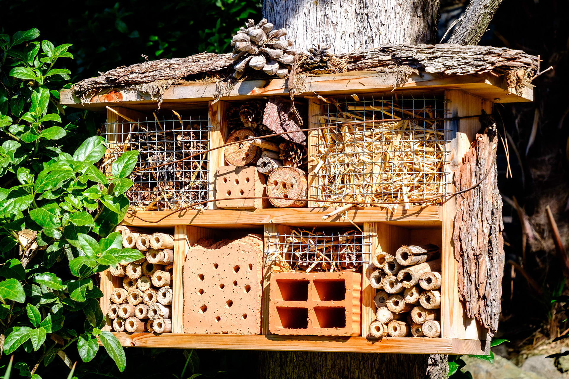 Insektenhotel mit Kindern bauen | Insektenhotel