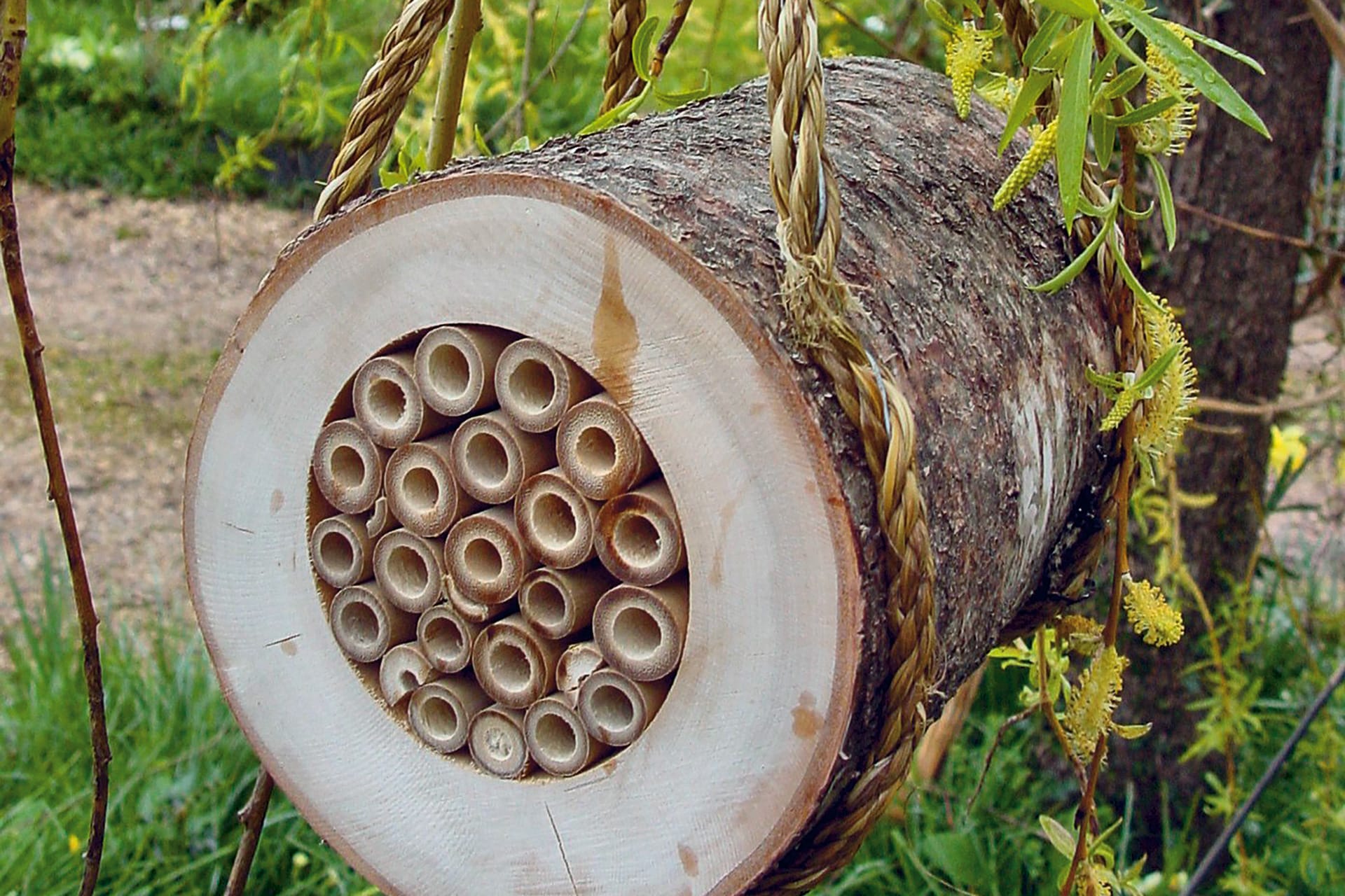  Insektenhotel mit Kindern bauen | Holzstamm 
