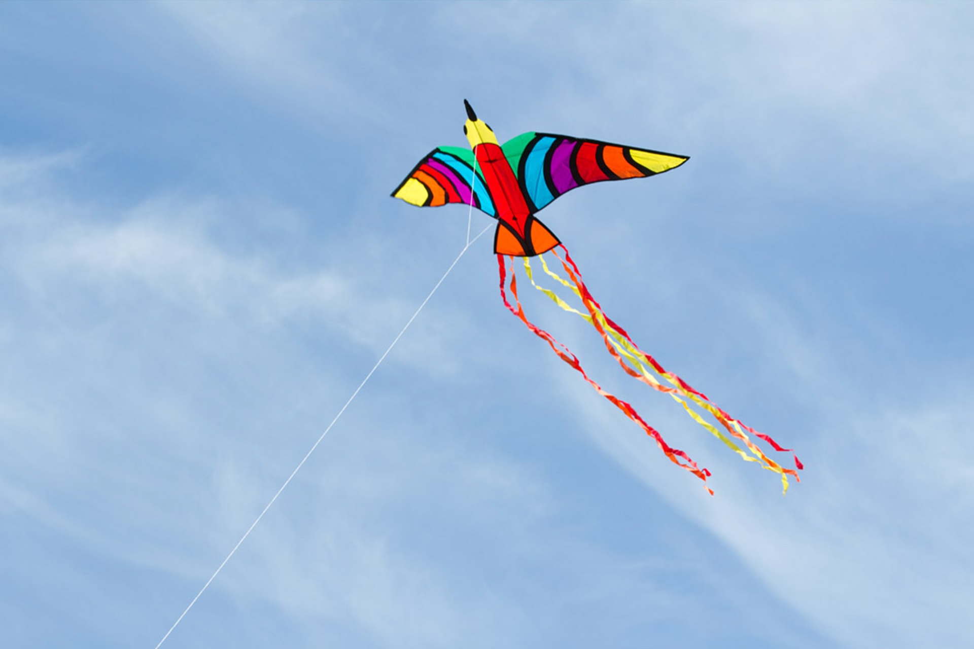 Drachen basteln Kinder | Image 2