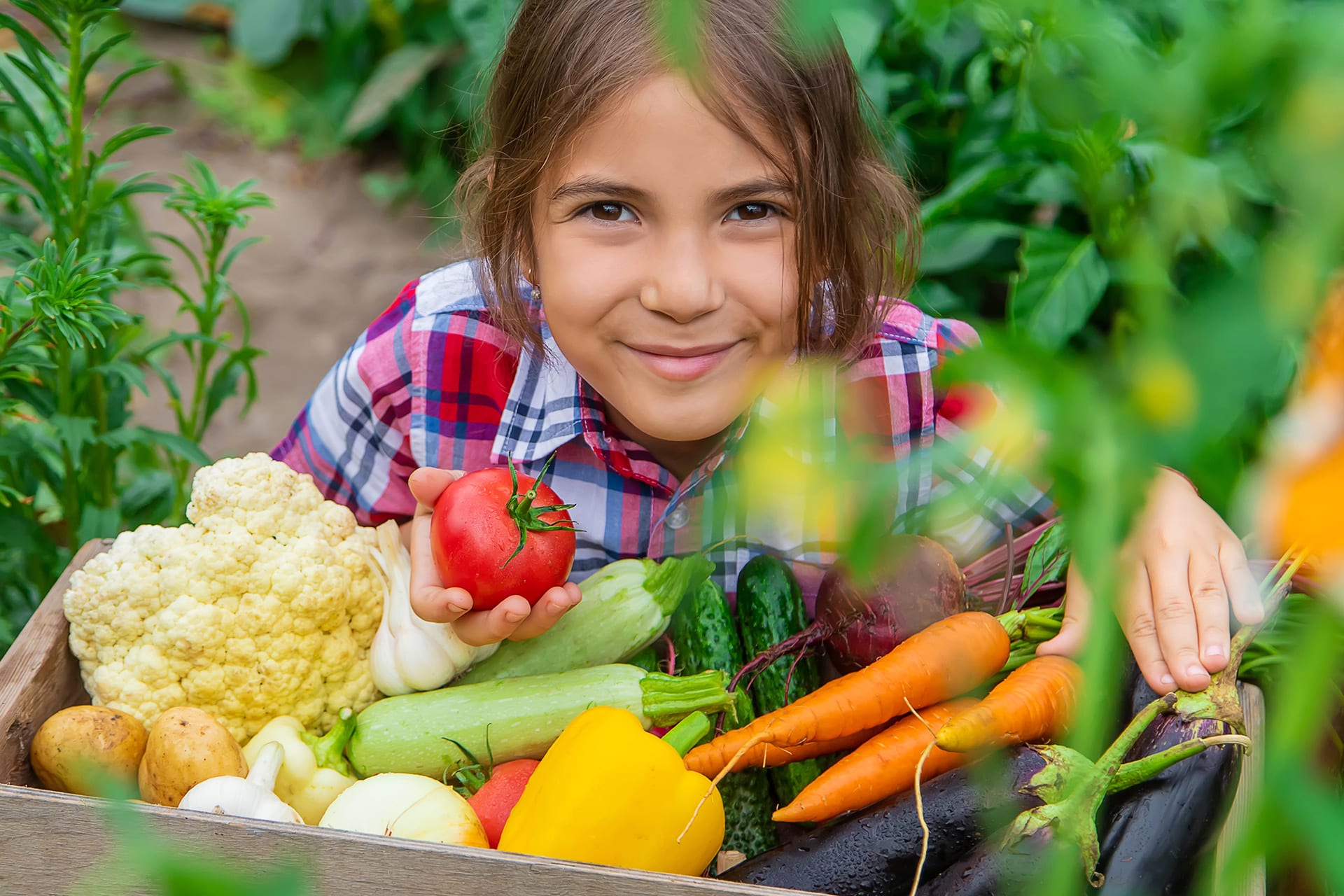 Gärntner mit Kindern | Kind mit Gemüse