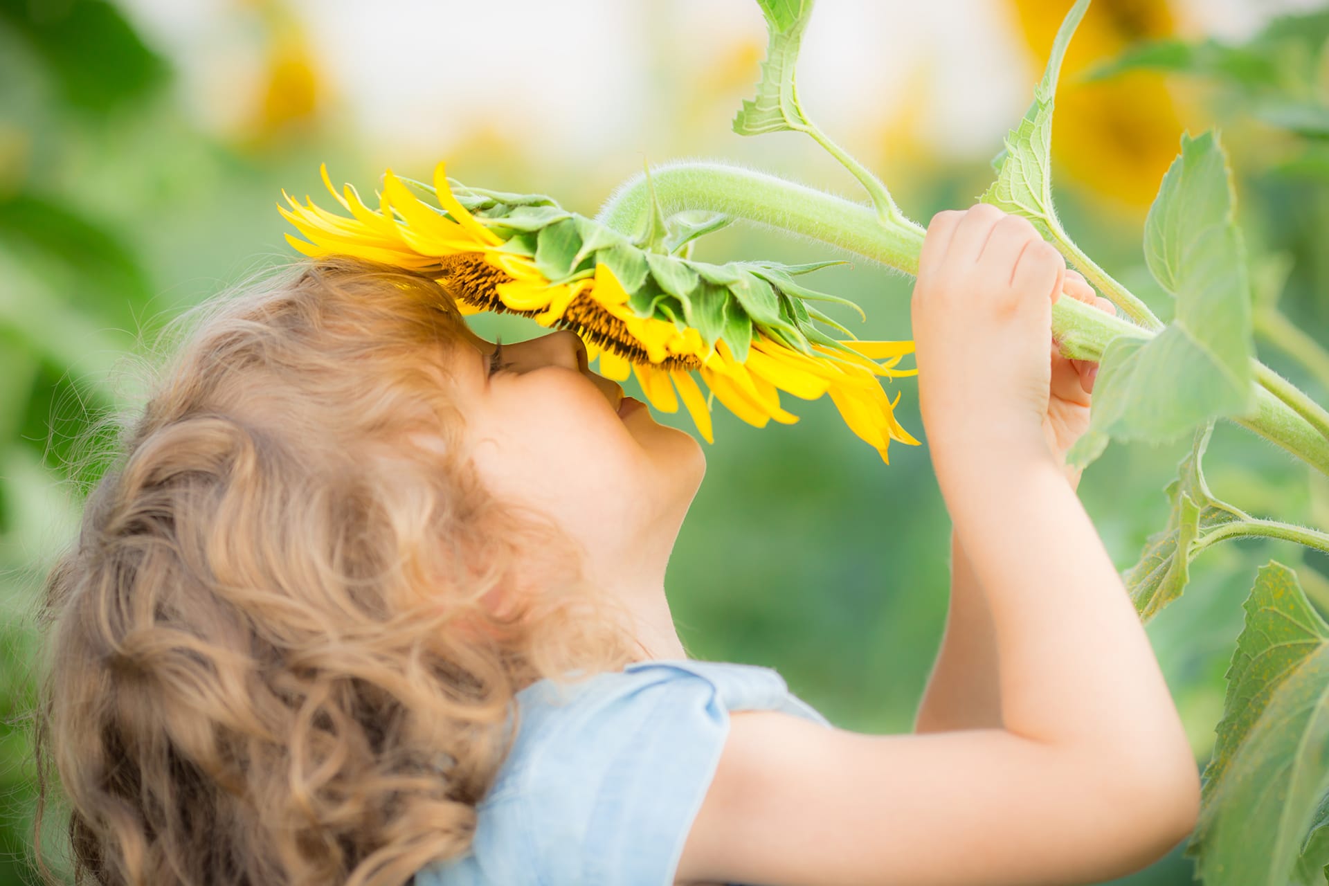 Geburtstagstipps September | Header-Image
