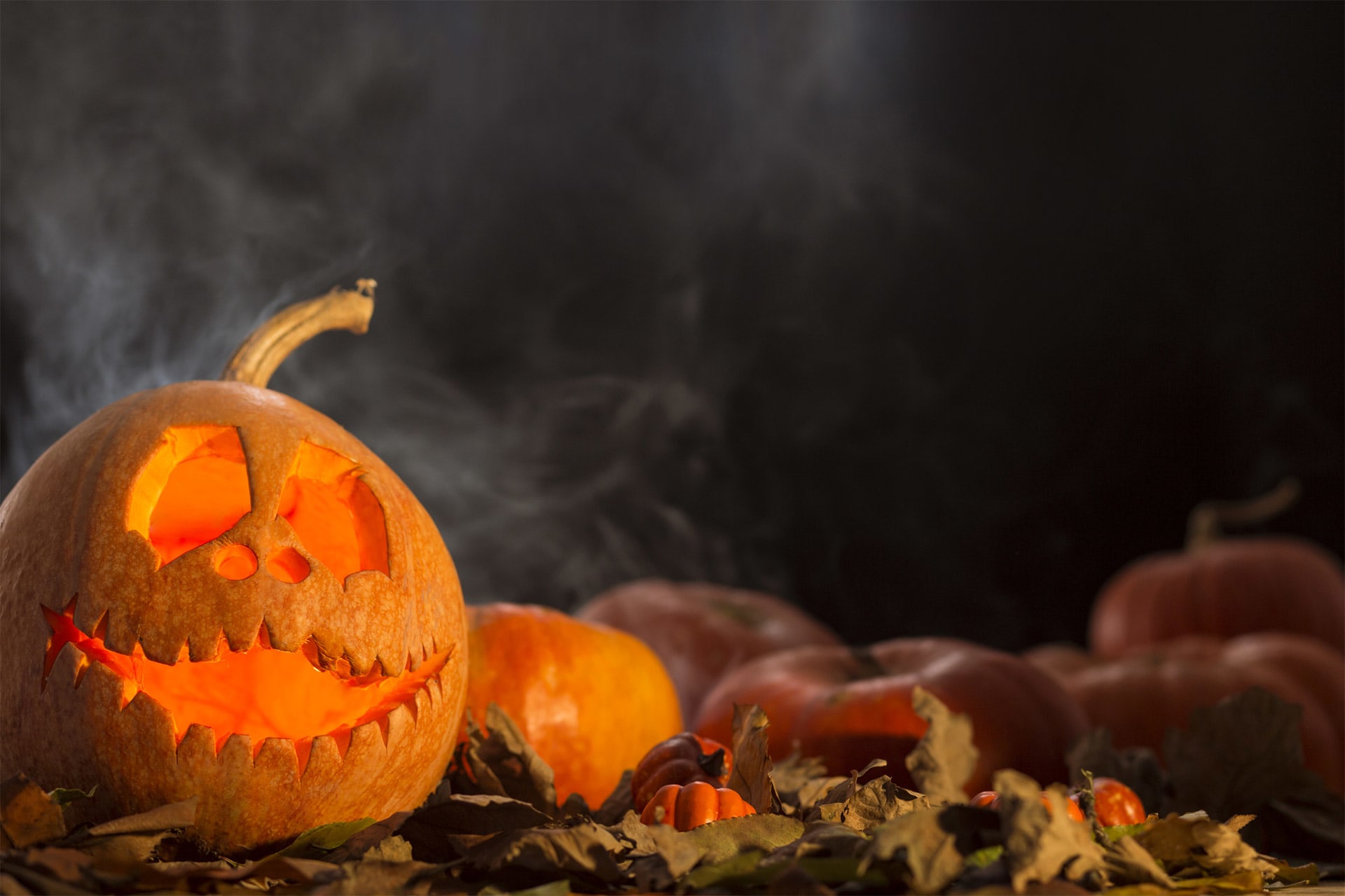 Herbstbasteln mit Kindern | Gruselige Kürbisse schnitzen 
