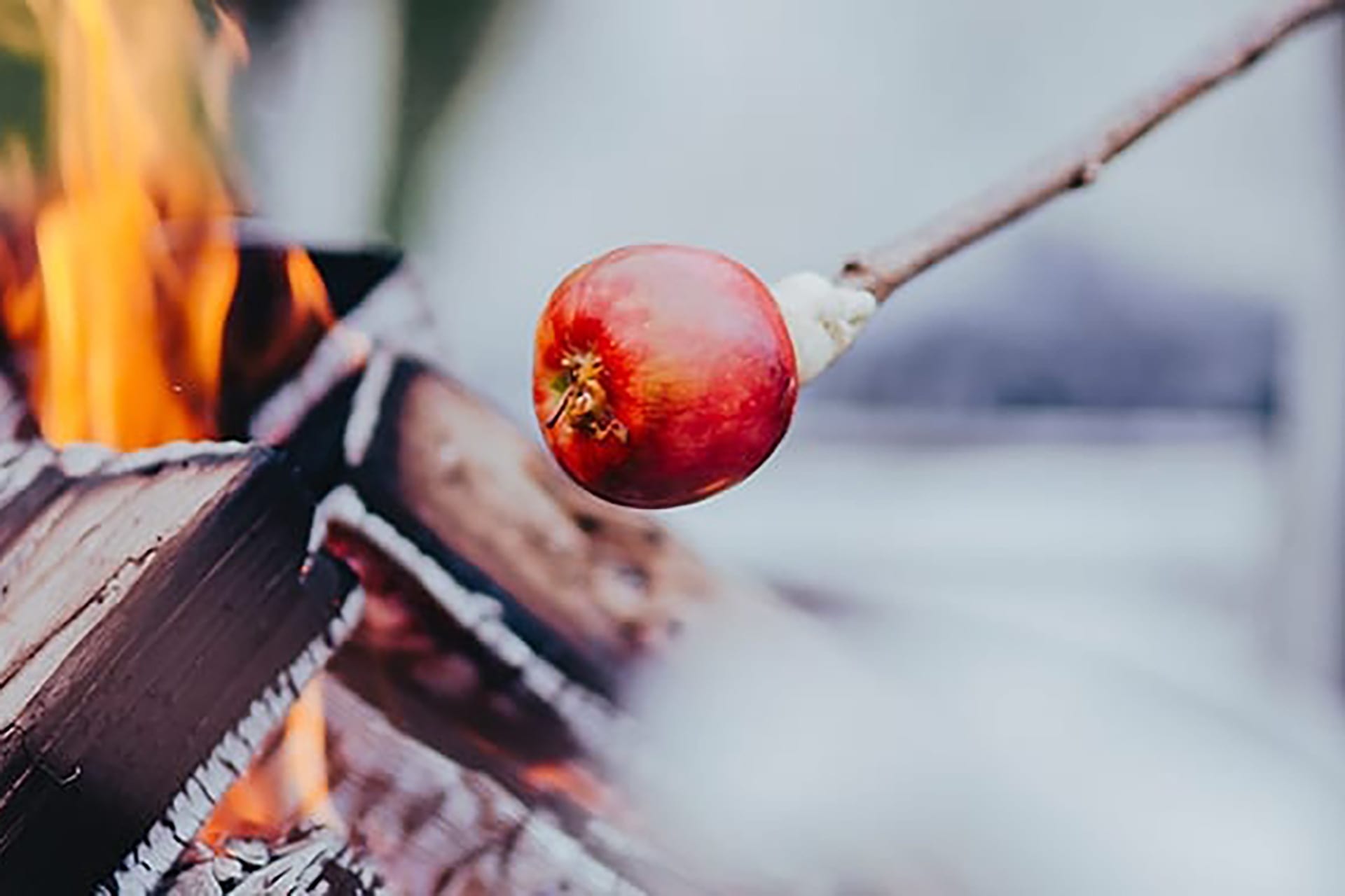Lagerfeuer mit Kindern | Image Marshmallows Obst