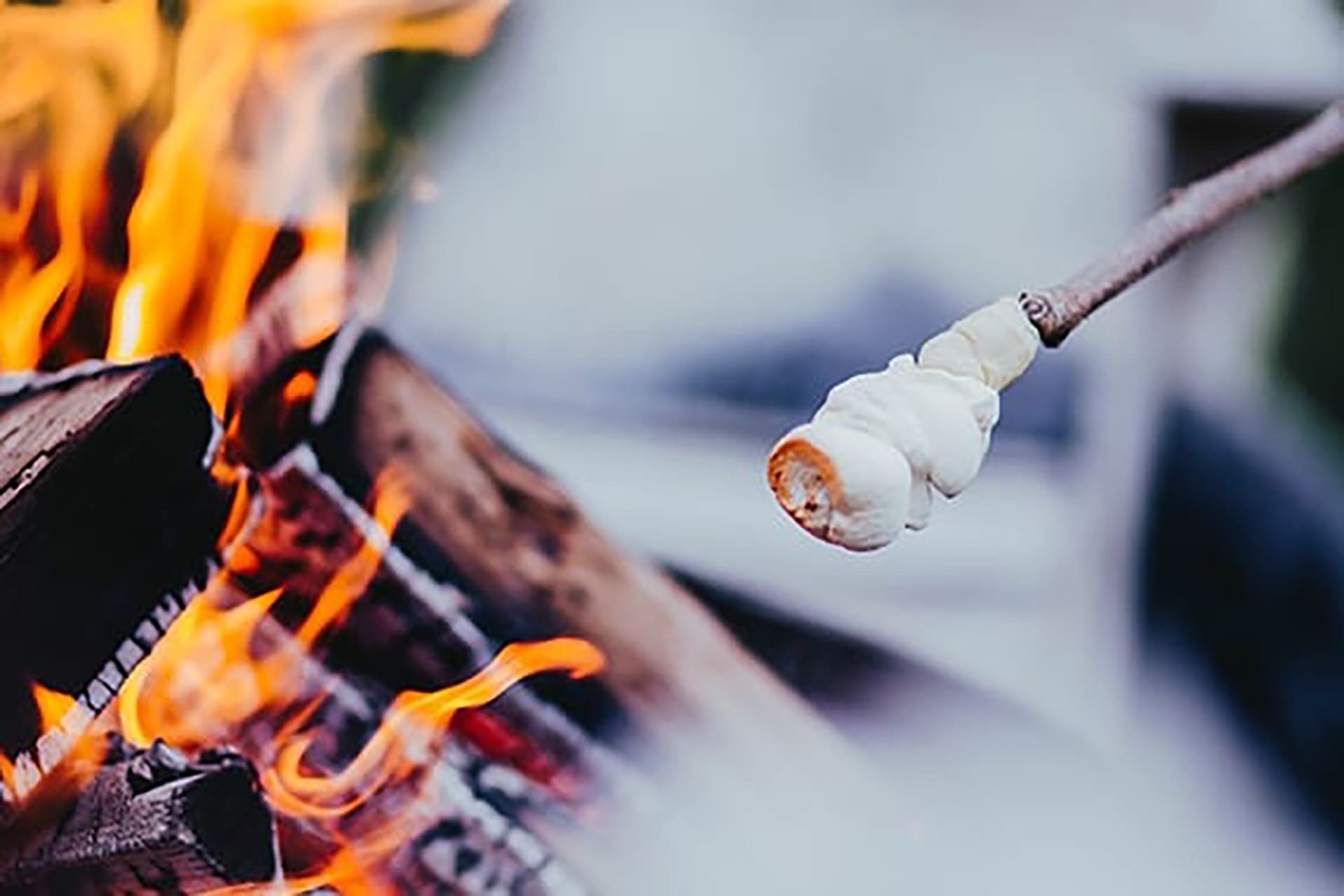Lagerfeuer mit Kindern | Image Marshmallows