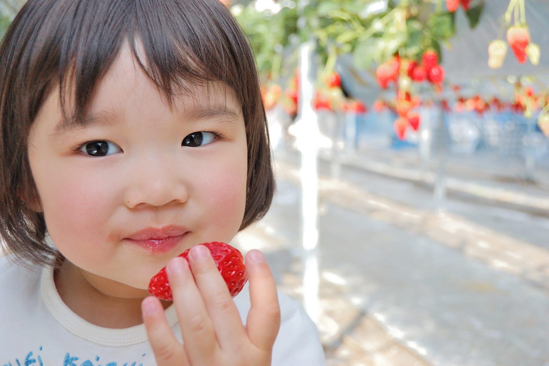 Sinneswahrnehmung bei Kindern | Asiatisches Mädchen riecht an  Himbeere, in der Hand