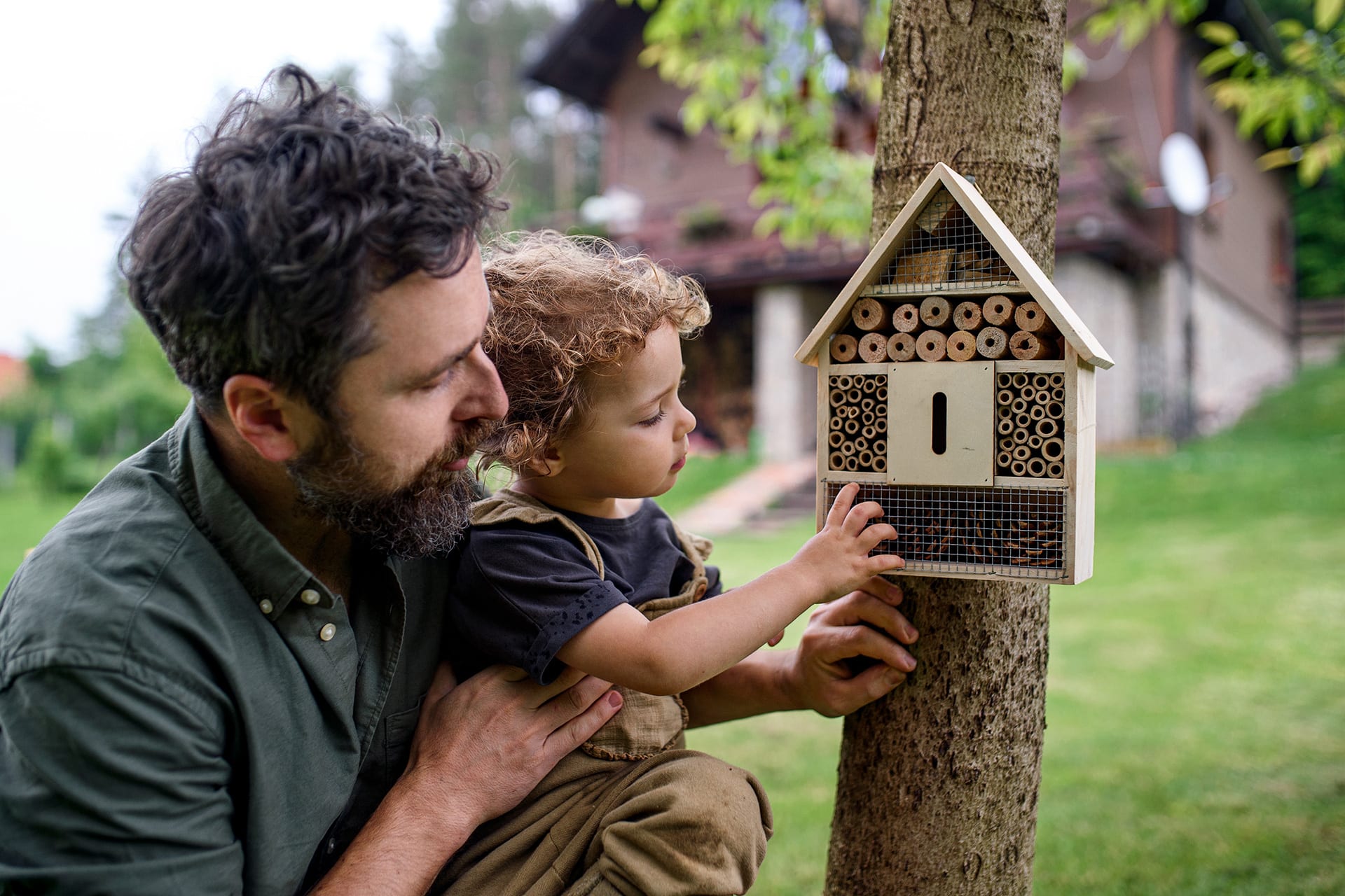 Basteln mit Kindern | Vater und Kind betrachten Insektenhotel