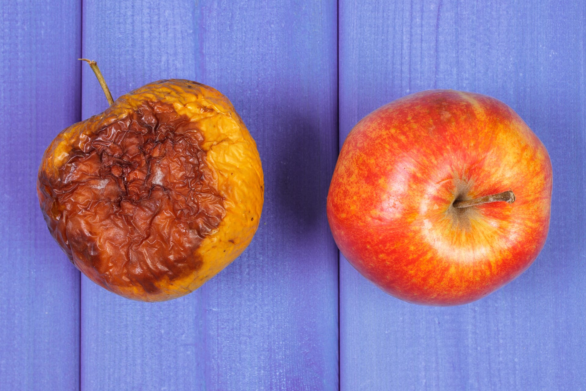 Abgelaufene Lebensmittel noch essbar | Alte faltige und frische Äpfel auf lila Brettern