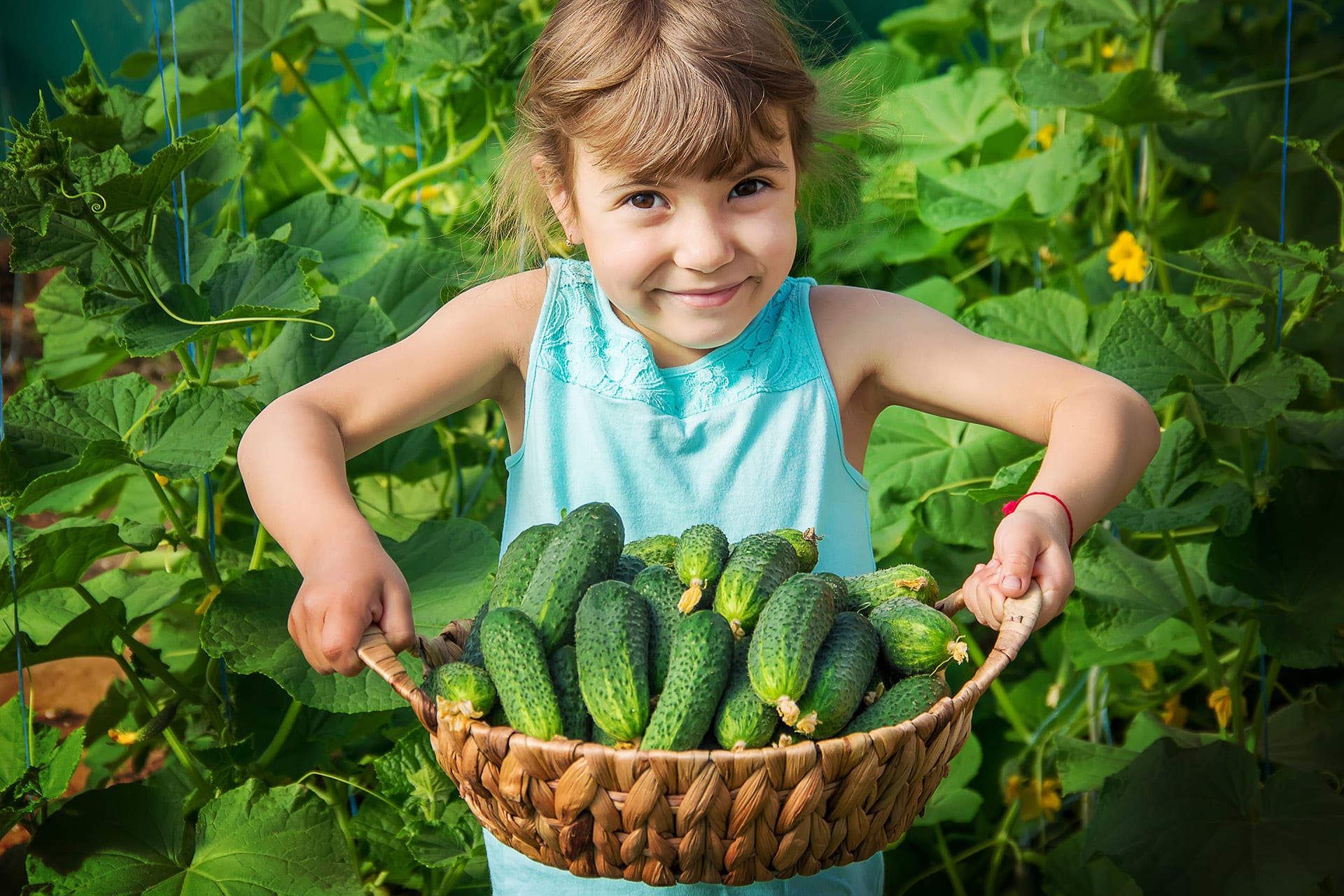Gärtnern mit Kindern | Hausgemachte Gurkenanbau und Ernte in den Händen eines Kindes