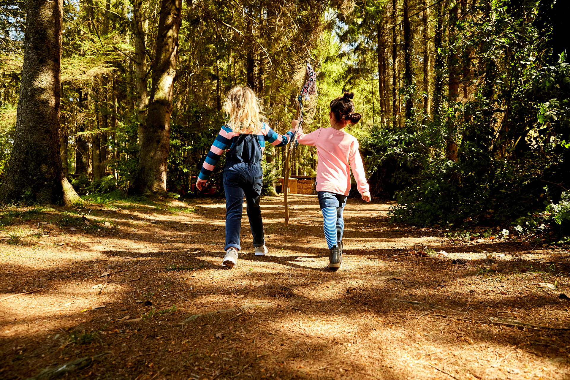 Waldspiele für Kinder | Image