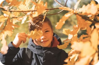 Basteln mit Eicheln | Header-Image