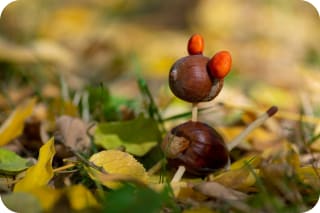Basteln mit Eicheln | Figur aus Eicheln