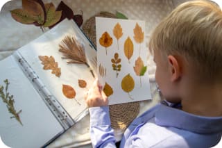 Basteln mit Blättern | Herbarium