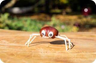Kastanien basteln mit Kindern | Kastanien-Spinne