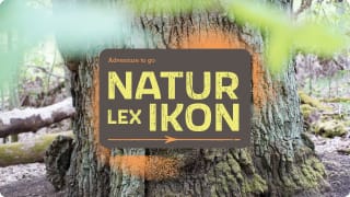 S | Sortiment entdecken | Terra Kids | Seek and find | Naturlexikon